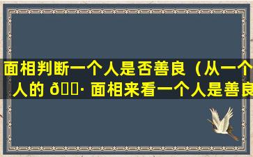 面相判断一个人是否善良（从一个人的 🌷 面相来看一个人是善良 🐕 还恶）